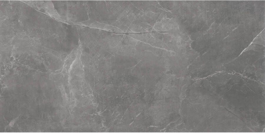 TS-Tiles Vloertegel Stonemood 60x120 cm Grey