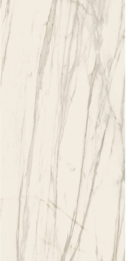 E-Tile Vloertegel XL Etile Venato White Glans 120x260 cm