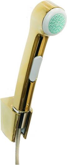 Hansgrohe bidetset handdouche-slang-houd polished gold optic 32128990