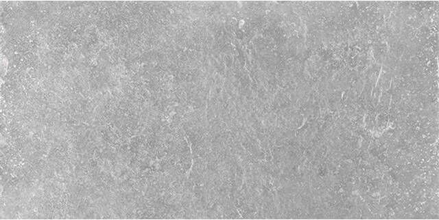 Kerabo North Feeling Day keramische vloer- en wandtegel betonlook gerectificeerd 30 x 60 cm grijs