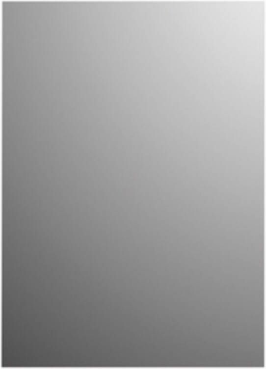 Plieger Spiegel Basic Rechthoekige Pas Spiegel 4mm 120x45cm Zilver