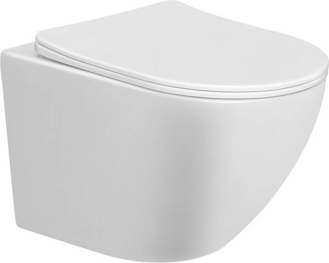 GO by Van Marcke Perl II pack toilet 48 2x36cm spoelrandloos met softclose en afneembare zitting wit YGZ-3105